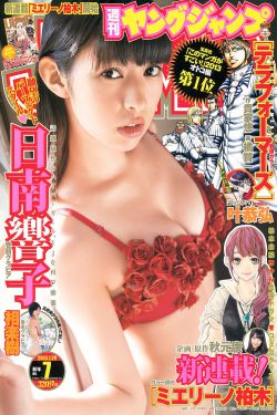 山河锦绣电视剧免费观看全集高清